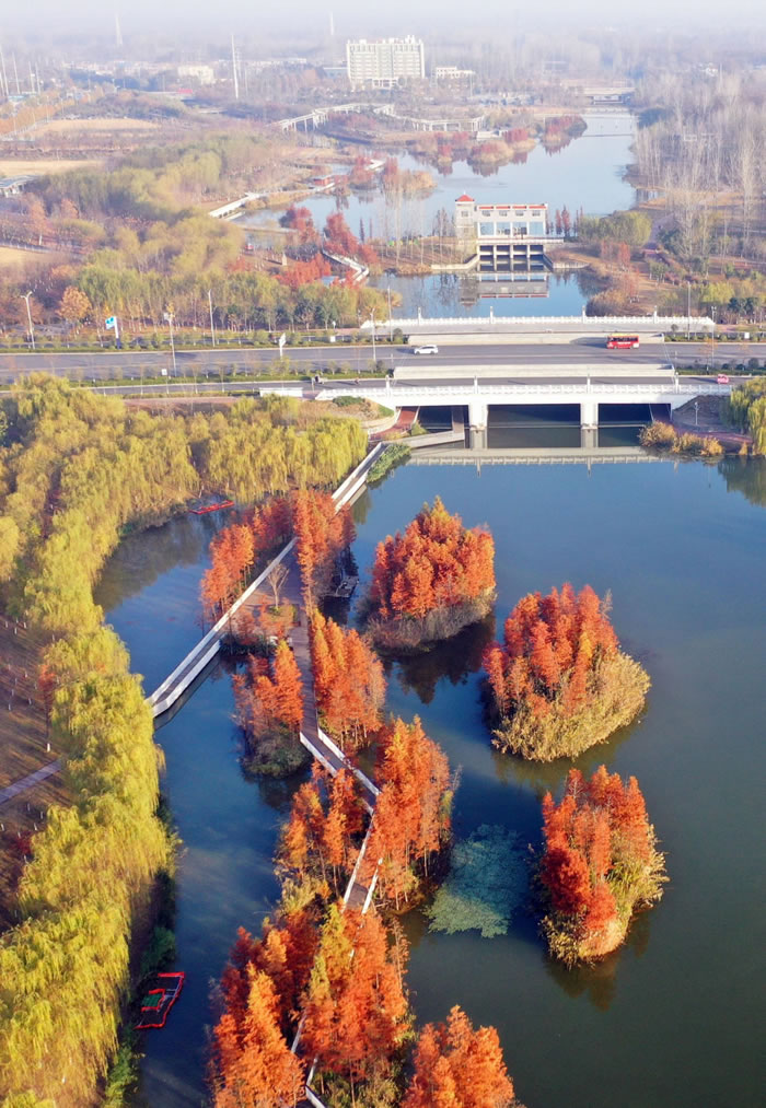 亳州陵西湖 冬景美如画.jpg